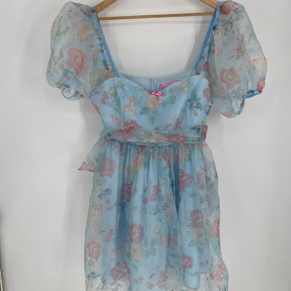 Dolls Kill Dresses & Skirts - DOLLS KILL X HOLLY HOBBIE Dress XXL The Sweetest Gift Floral Babydoll Feminine